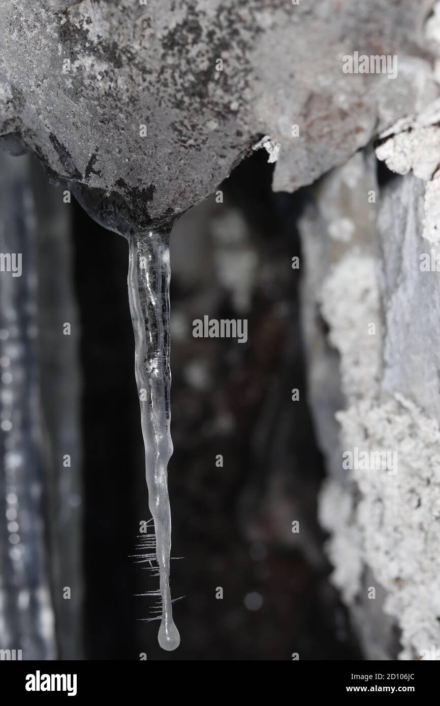 Singe Icicle cristallino appeso alla roccia in inverno creando un umore gelido Foto Stock