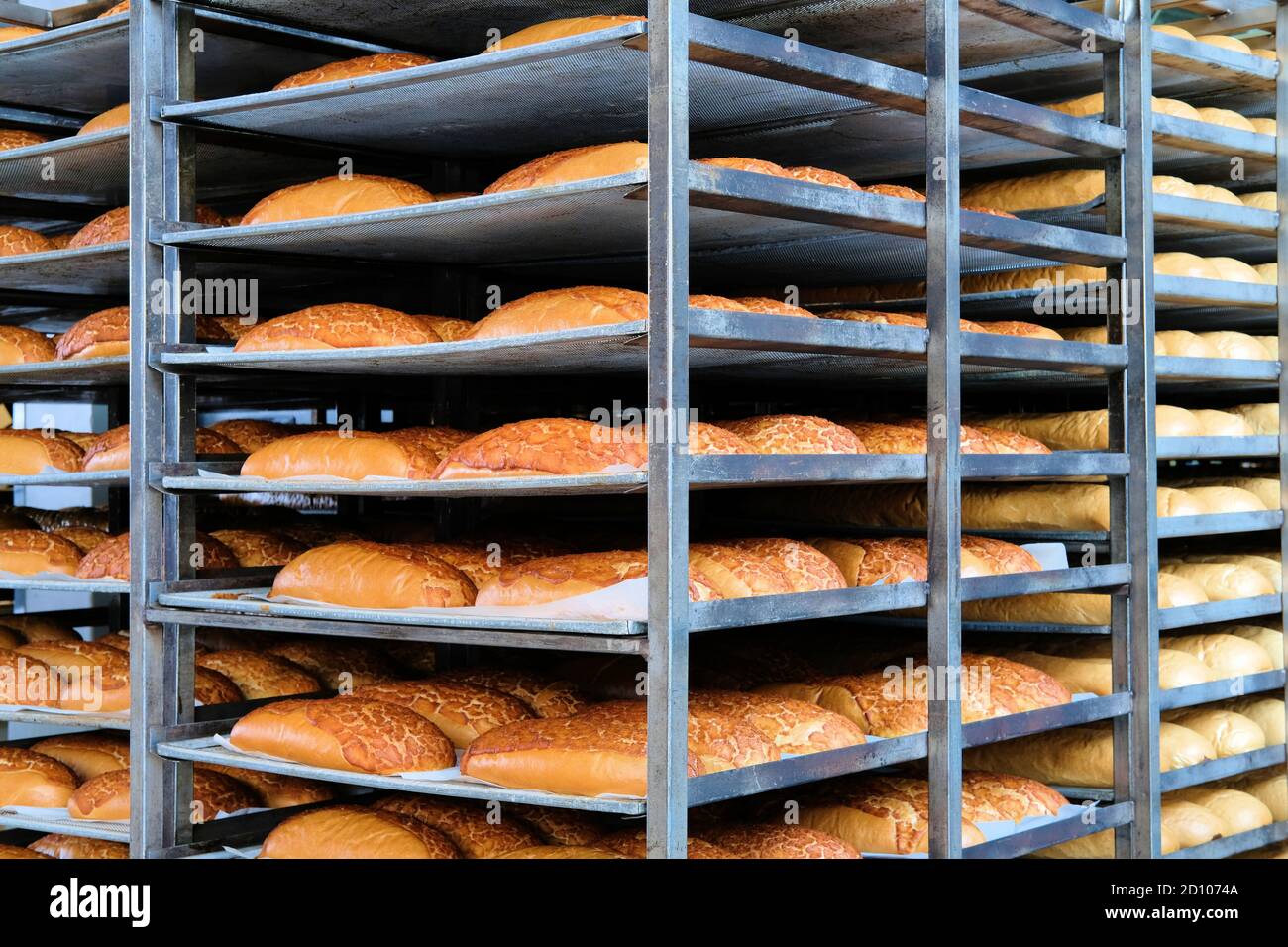 Focacce di pane su vassoi di metallo industriale o rack raffreddamento dopo la cottura; pile di pane cotto; San Francisco, California, USA. Foto Stock