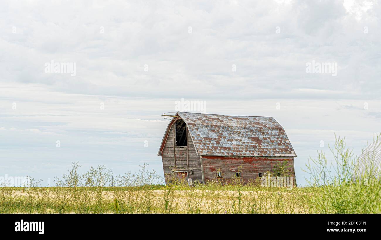 Old Barn sulla prateria di Manitoba Foto Stock