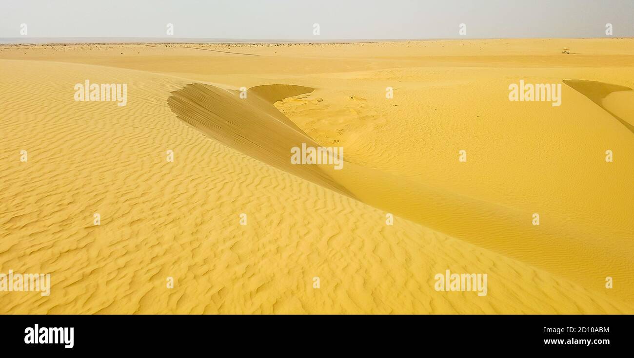 Sabbia dorata del deserto del Sahara. Tunisia Foto Stock