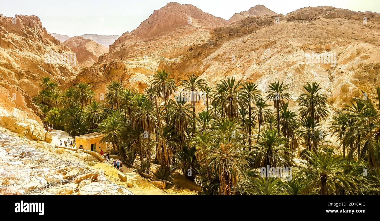 Oasi di montagna Chebika nel deserto del Sahara. Tunisia Foto Stock