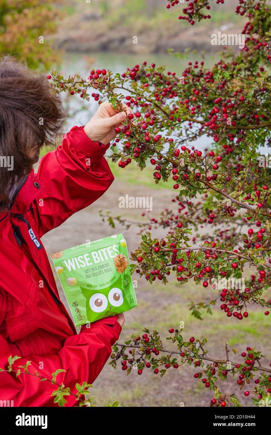 Donna fuori per una passeggiata e gustando uno spuntino sano A Steveston British Columbia Canada Foto Stock