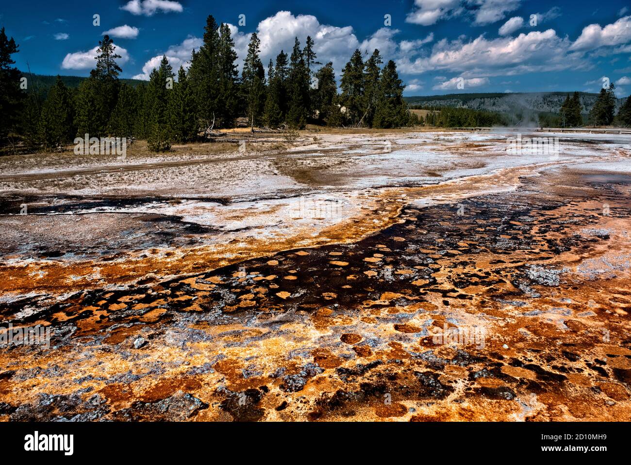 Tappetino batterico, Upper Geyser Basin, Yellowstone National Park, Wyoming, Stati Uniti Foto Stock