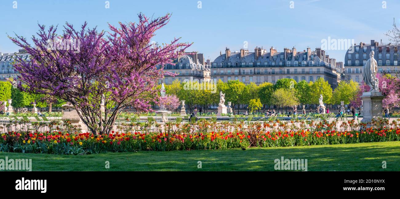 Parco Floreale Di Parigi