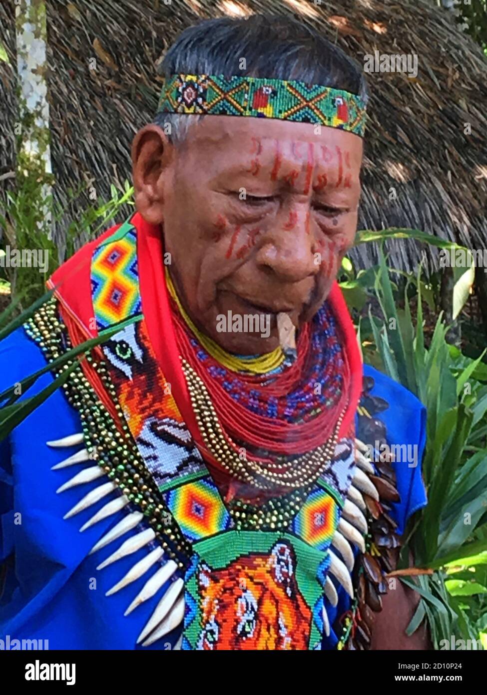 Nueva Loja, Sucumbios / Ecuador - 2 settembre 2020: Sciamano indigeno anziano di nazionalità Cofan fumo di tabacco durante l'esecuzione di un rituale di guarigione i Foto Stock
