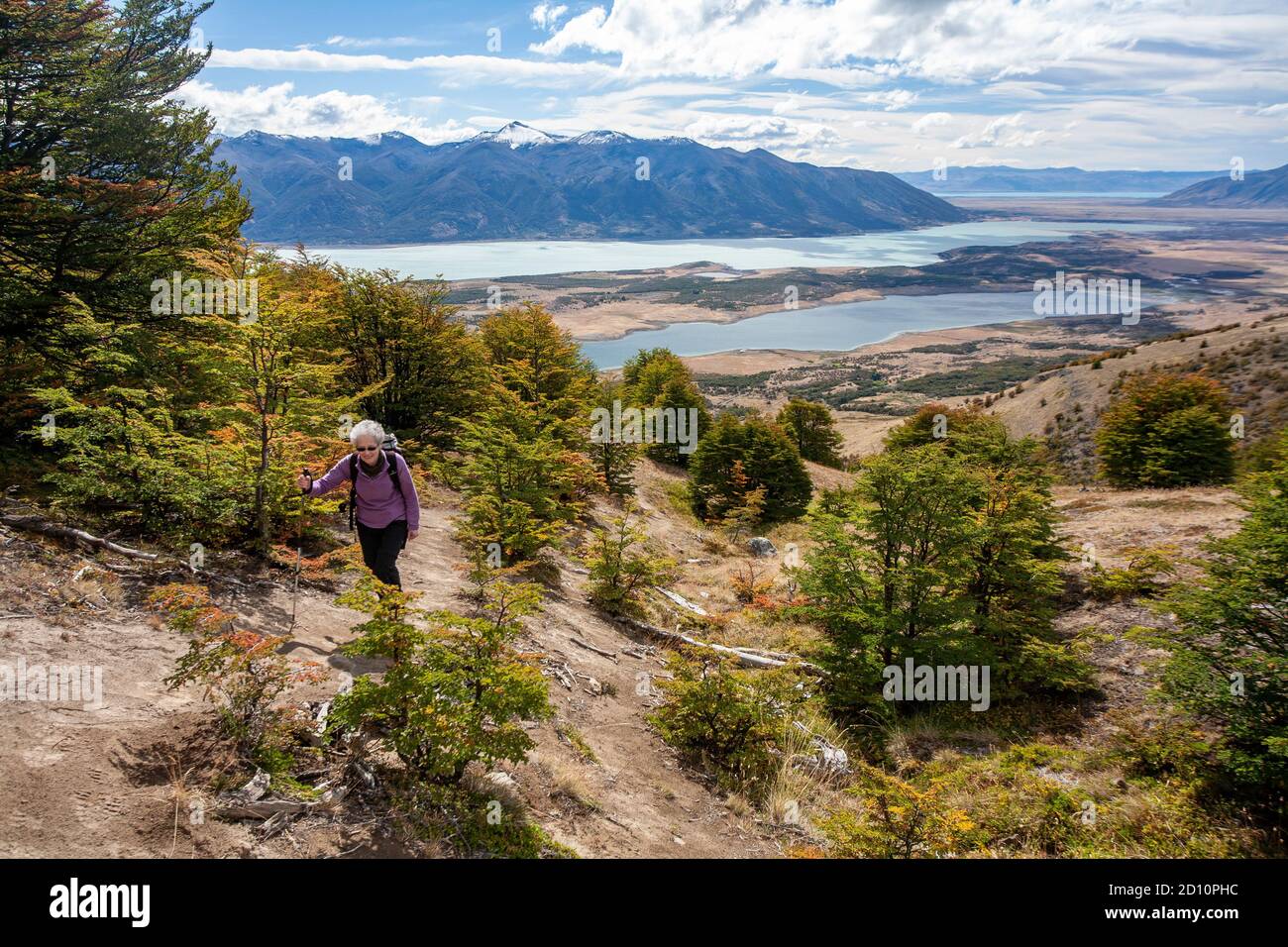 Due escursioni da Calafate nel Parco Nazionale Los Glaciares per salire Cerro Cristal e vedere il ghiacciaio Perito Moreno. Foto Stock