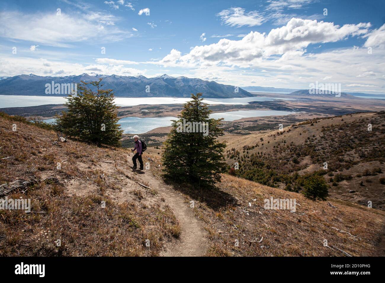 Due escursioni da Calafate nel Parco Nazionale Los Glaciares per salire Cerro Cristal e vedere il ghiacciaio Perito Moreno. Foto Stock