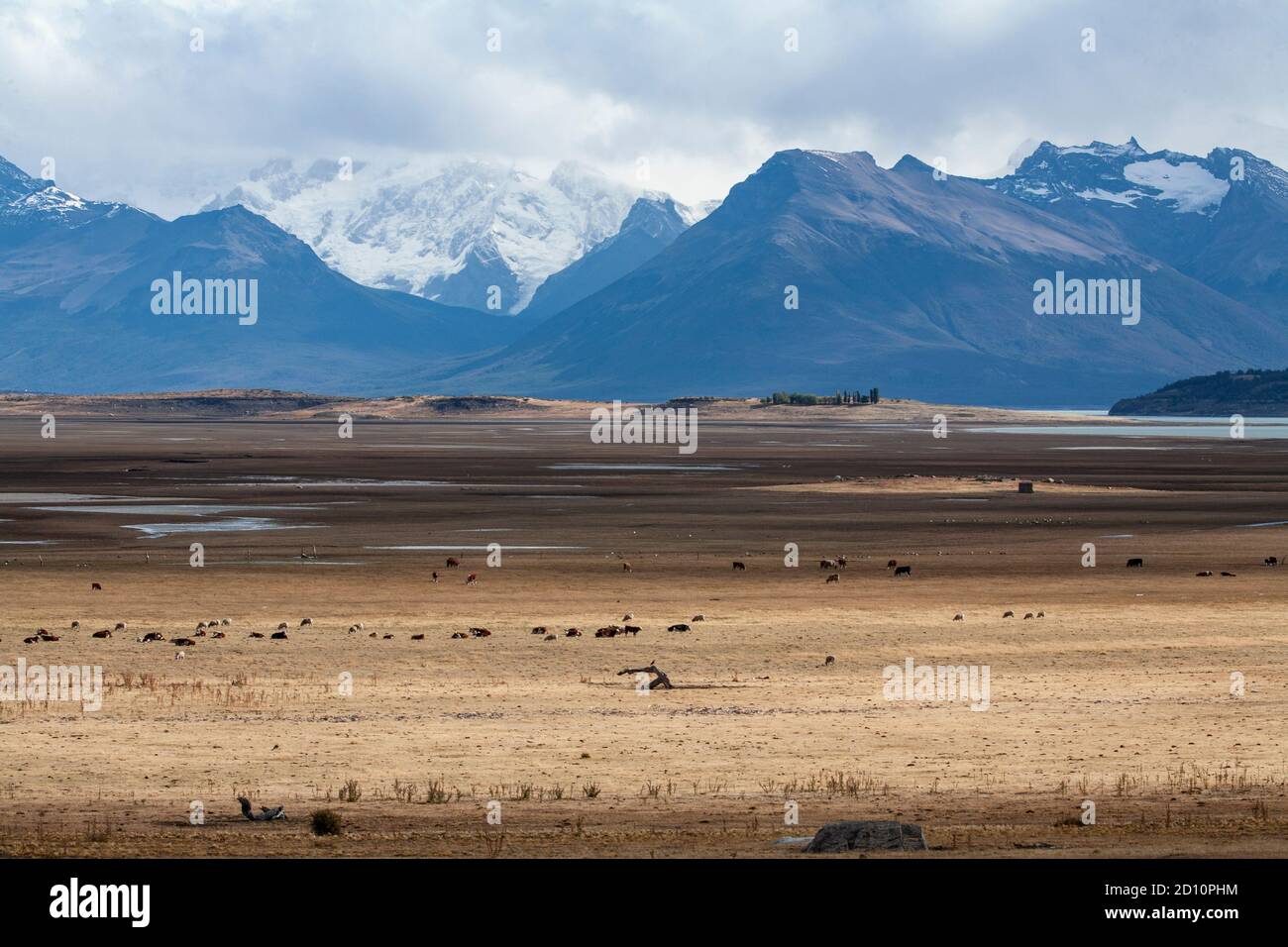 Due escursioni da Calafate nel Parco Nazionale Los Glaciares per salire Cerro Cristal e vedere il ghiacciaio Perito Moreno. Foto Stock