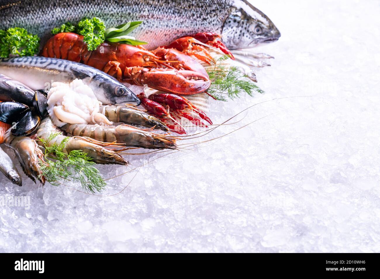 Vista laterale di una varietà di pesce fresco di lusso, cozze di polpo di gamberi di salmone di aragosta e capesante, su sfondo ghiacciato con spazio per la copia. Foto Stock