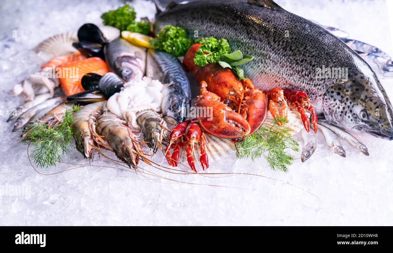 Vista frontale di una varieta' di pesce fresco di lusso, cozze di polpo di gamberi di salmone di aragosta e capesante, su sfondo ghiacciato. Foto Stock