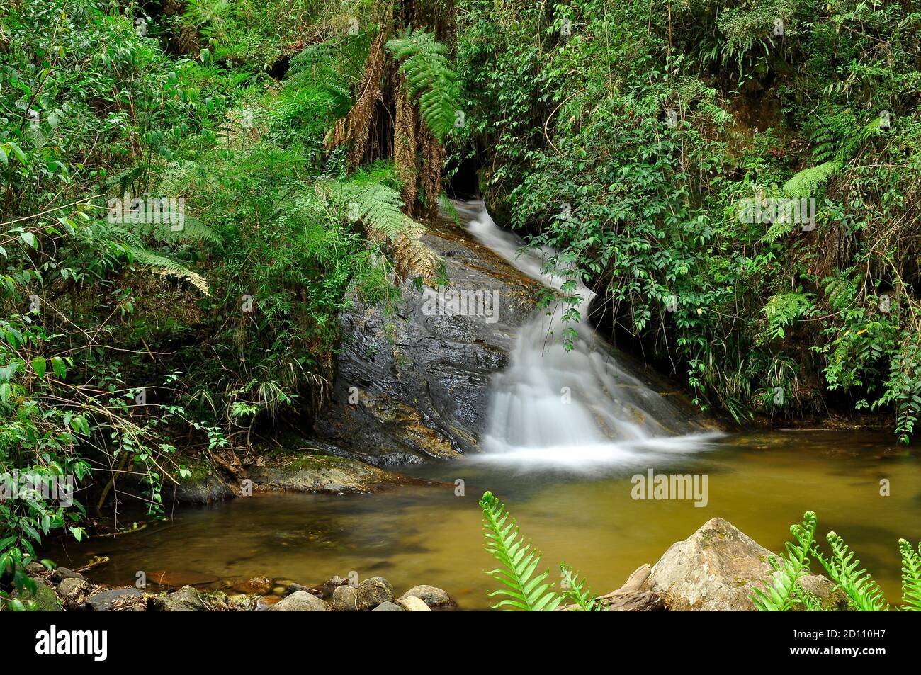 Cachoeira no Horto Florestal de Campos do Jordão, São Paulo Foto Stock