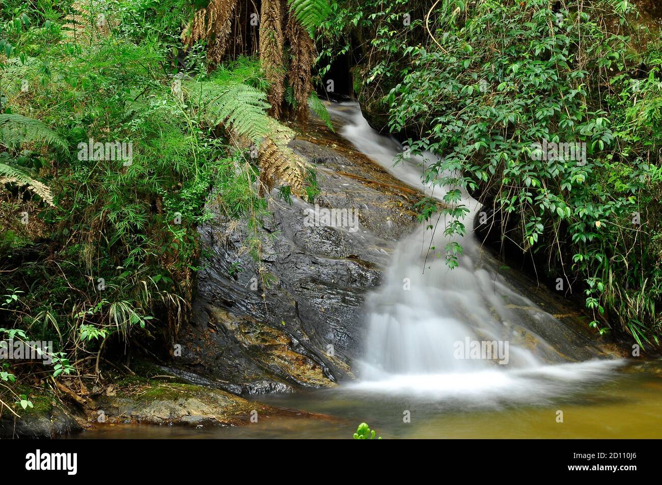 Cachoeira no Horto Florestal de Campos do Jordão, São Paulo Foto Stock