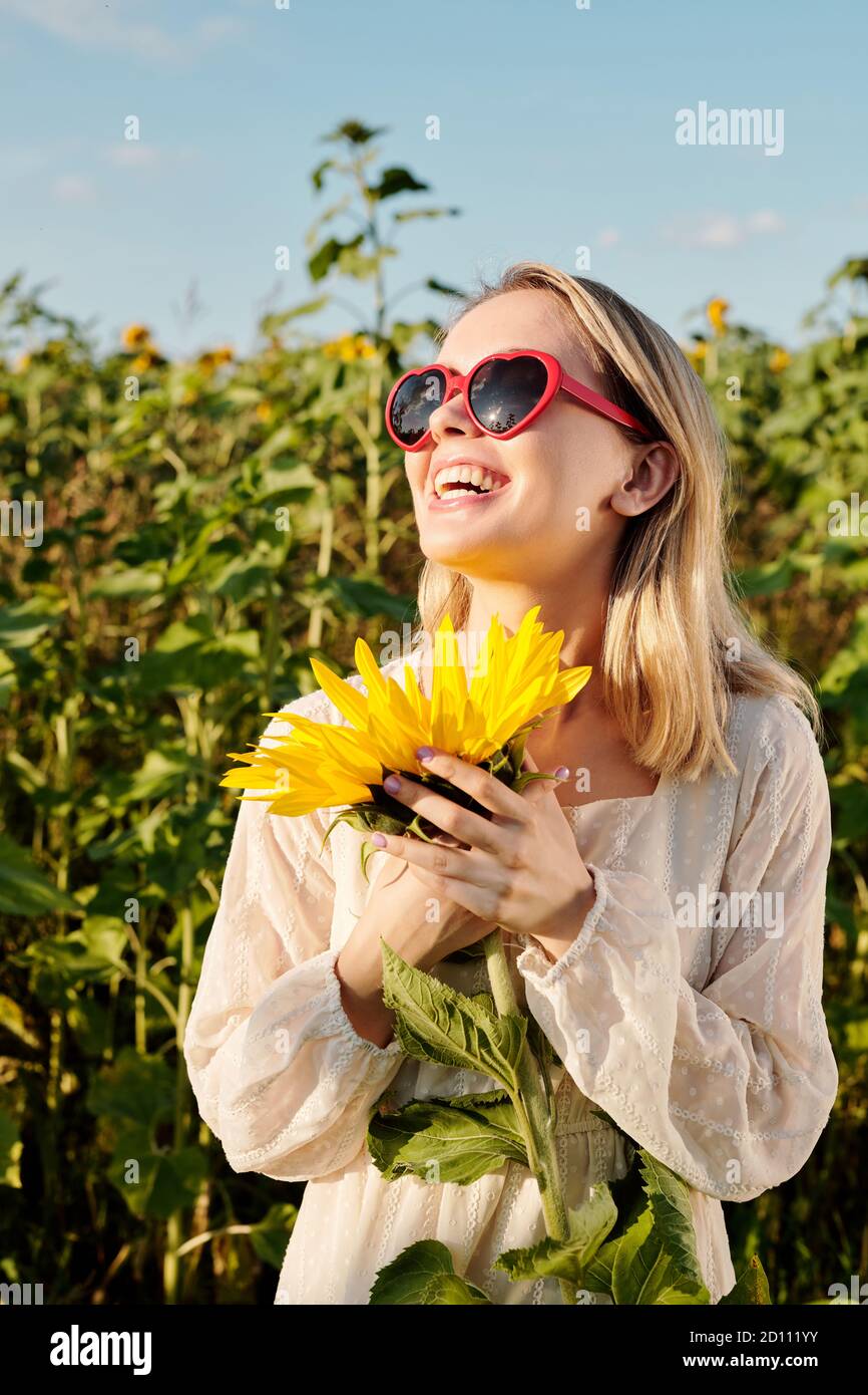 Ridendo ragazza bionda in occhiali da sole e vestito bianco in piedi vicino uno dei girasoli Foto Stock