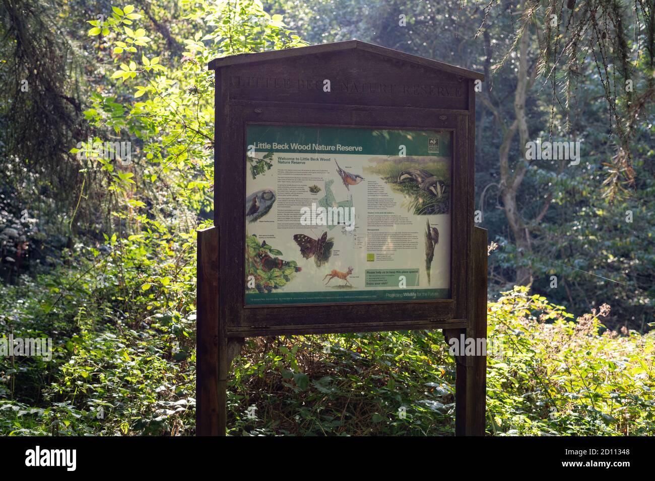 Informazioni sulla riserva naturale di Little Beck Wood, Littlebeck vicino a Whitby, North Yorkshire, Inghilterra, Regno Unito Foto Stock