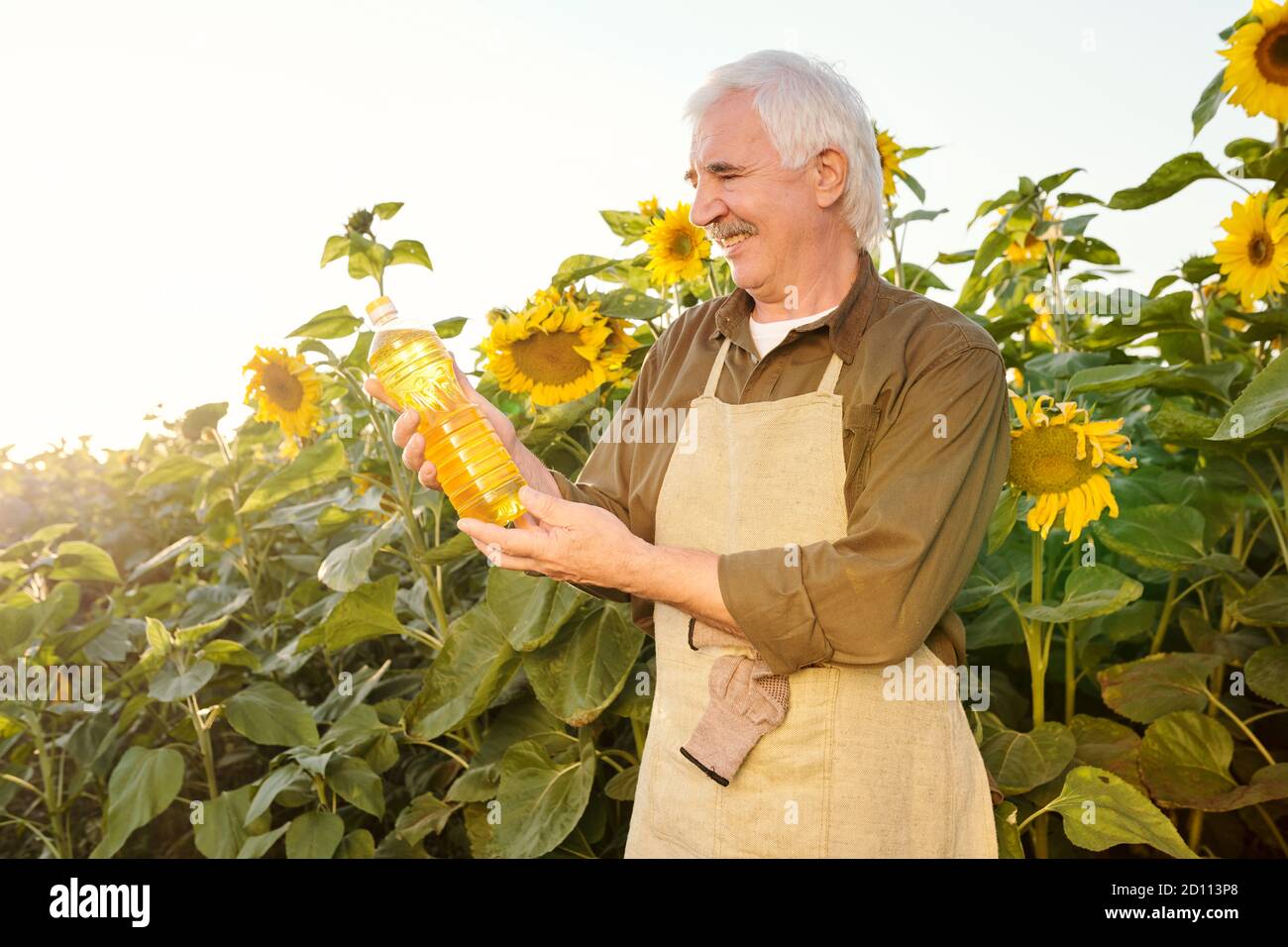 Uomo contemporaneo con capelli grigi senior in grembiule e camicia in bottiglia di olio Foto Stock