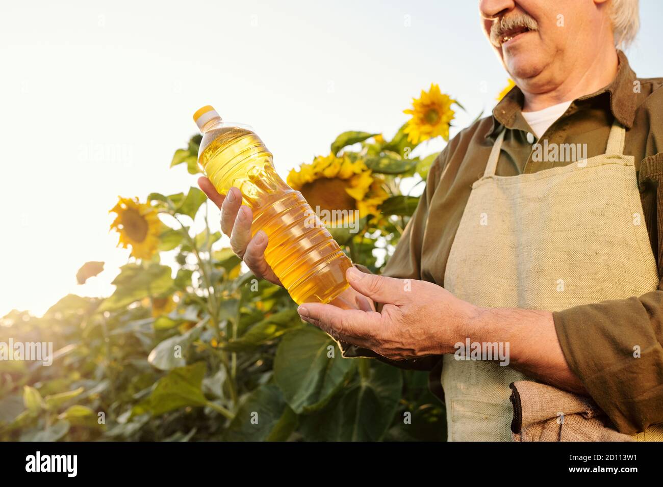 Agricoltore anziano in grembiule e camicia guardando una bottiglia di olio di girasole nelle mani Foto Stock