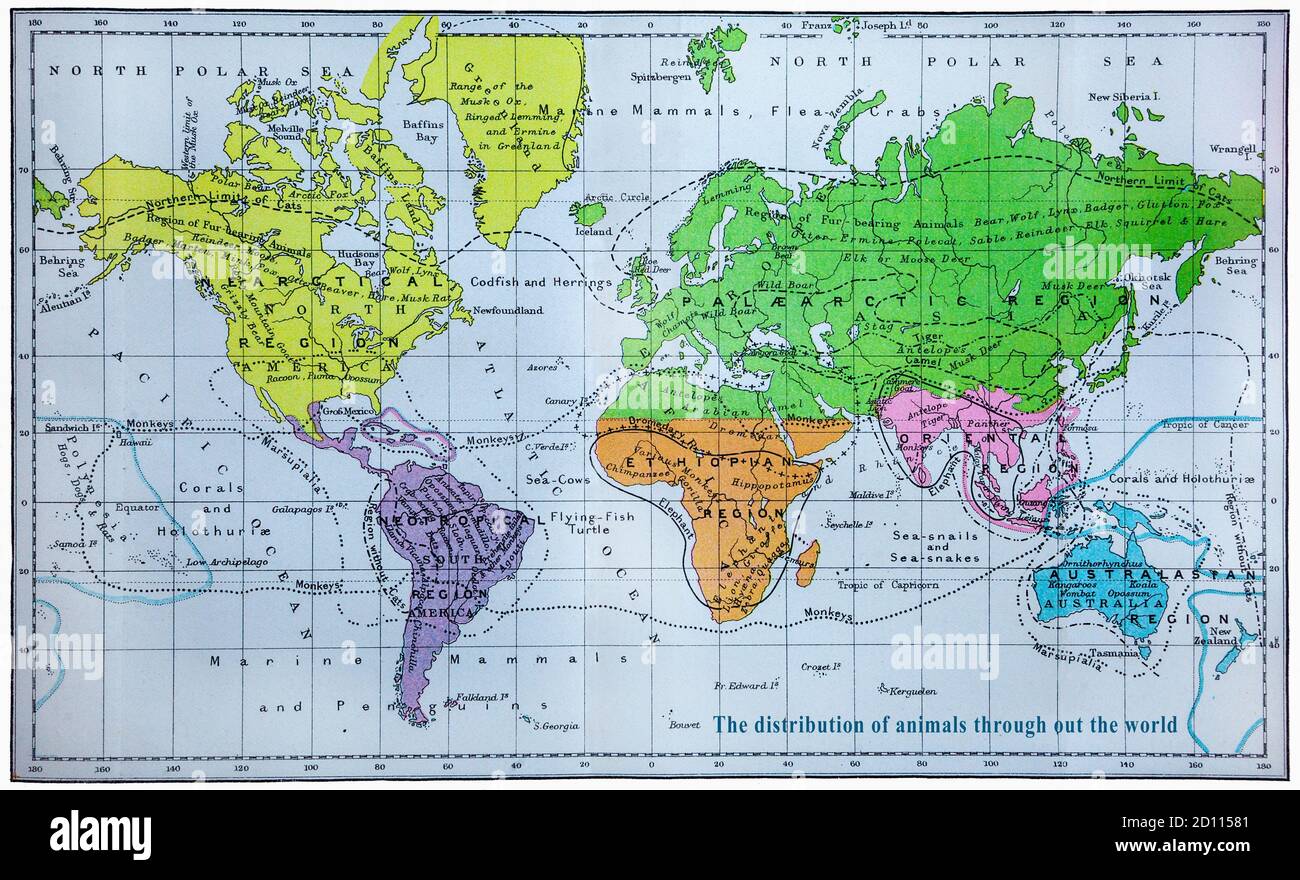 Una mappa del mondo della fine del XIX secolo, che indica la distribuzione degli animali. Nota i nomi di alcune località non sono più in uso. Foto Stock