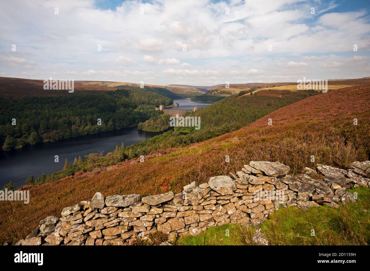 All'inizio dell'autunno si affaccia sul lago artificiale Howden e sul bacino idrico Upper Derwent, visto da Abbey Bank, Peak District National Park. Foto Stock