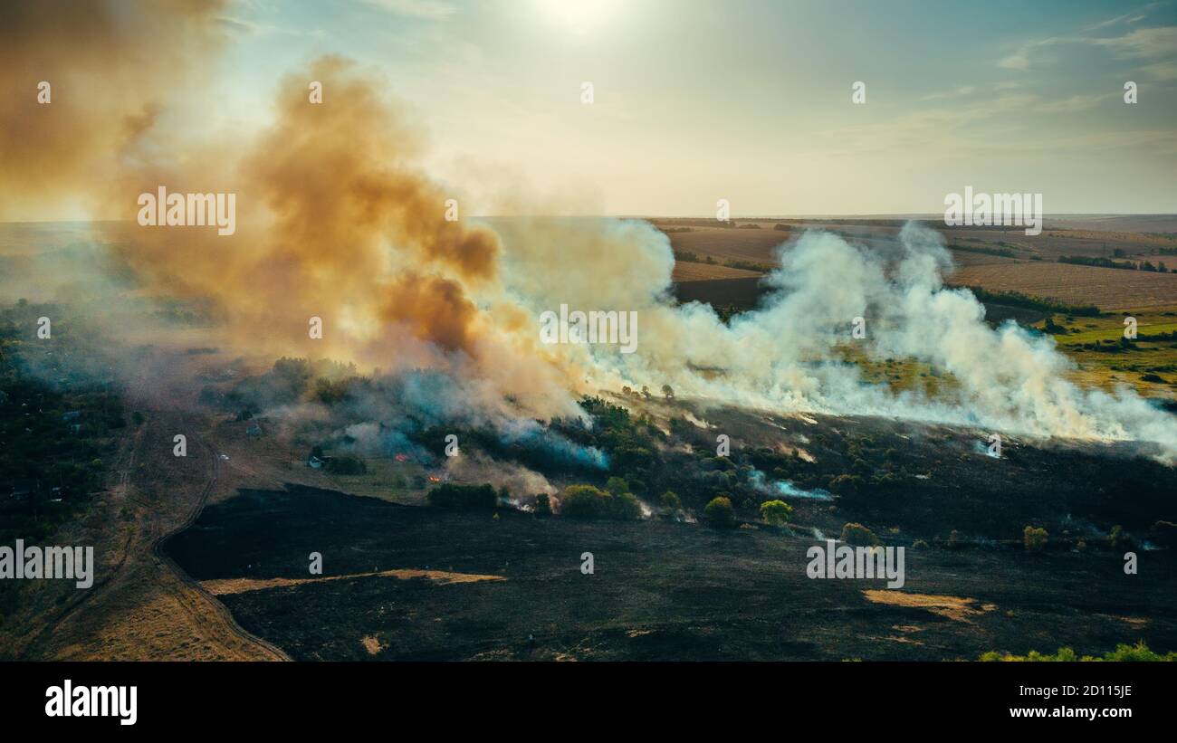 Bruciando erba secca e alberi. Disastro naturale nella foresta, vista aerea dal drone. Fuoco in natura con fumo. Foto Stock