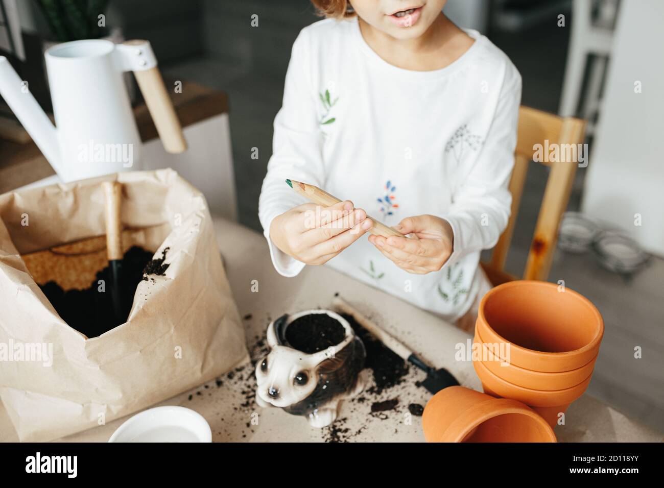 Kids Science Experiment - Bambini imparare a coltivare semi di piselli a casa. Istruzioni dettagliate. Fare un foro nel terreno Foto Stock