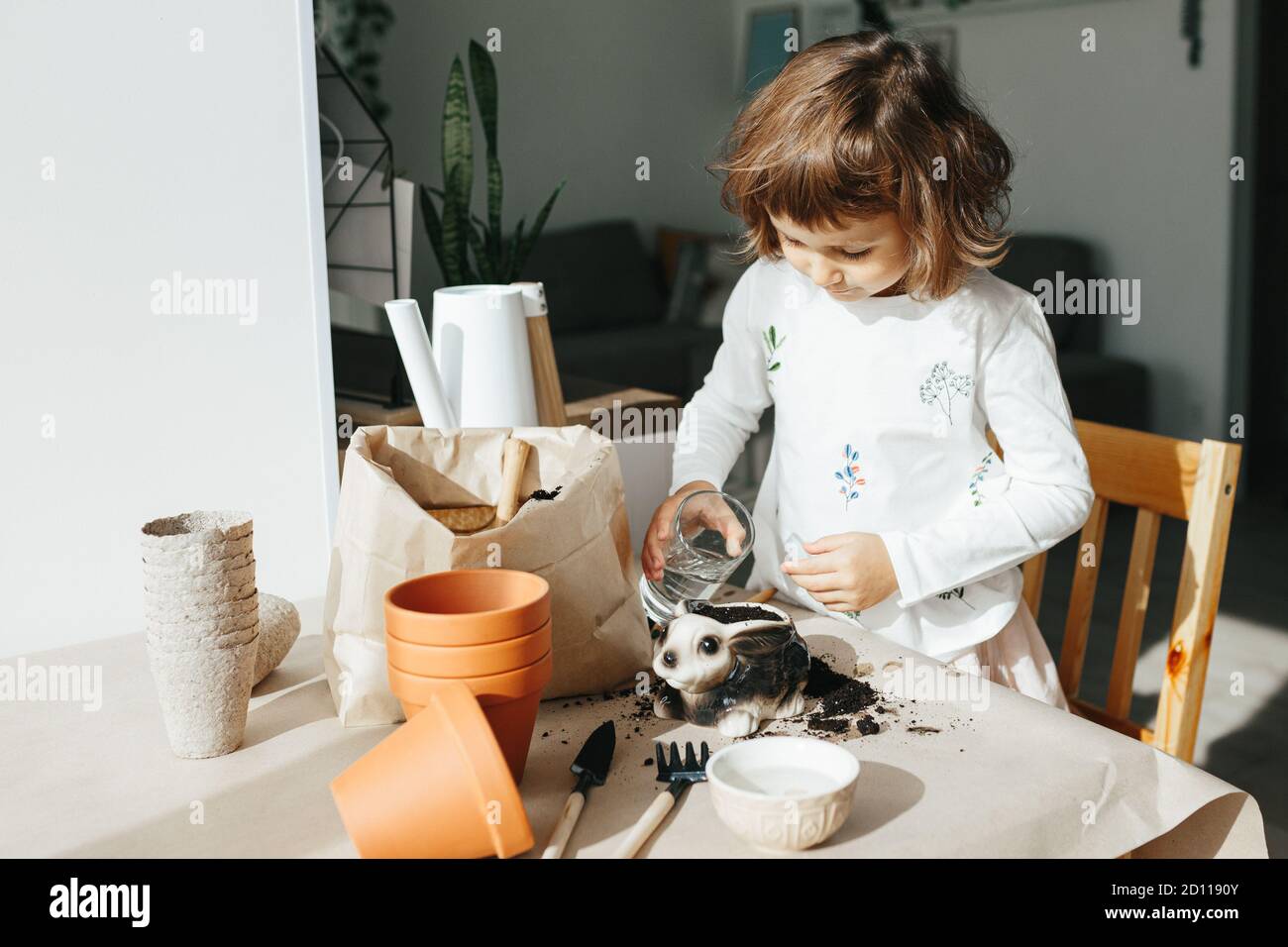 Kids Science Experiment - Bambini imparare a coltivare semi di piselli a casa. Istruzioni dettagliate. Annaffiatura il terreno con semi Foto Stock