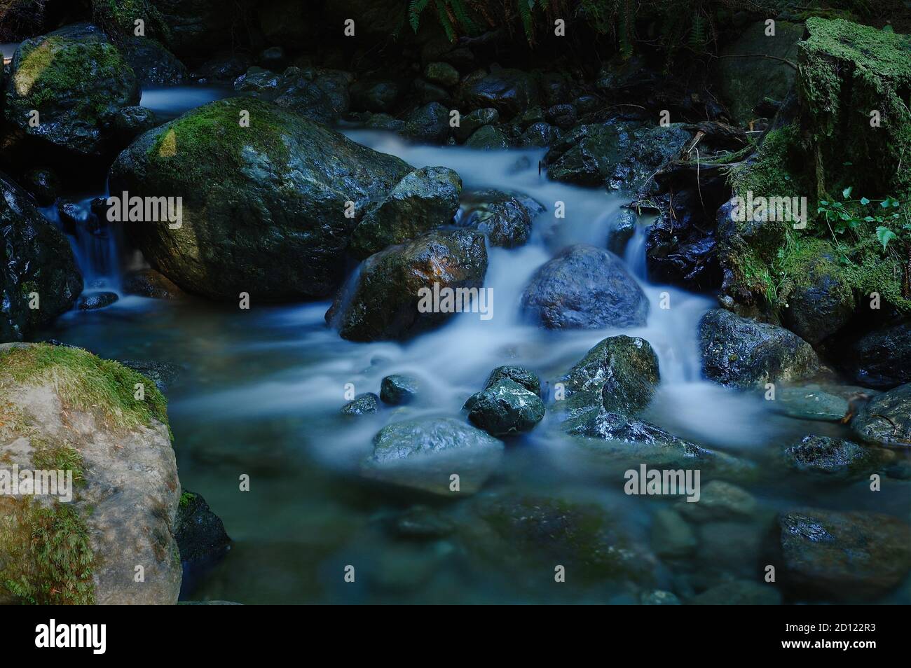 Parallel Creek Foto Stock