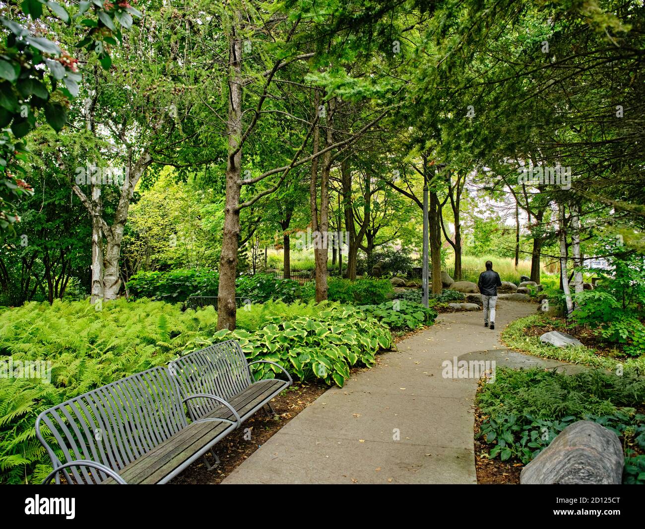 Il Toronto Music Garden, creato in collaborazione con l'eminente violoncellista Yo-Yo ma, è un parco pubblico di tre acri situato sul lungomare di Toronto. Foto Stock