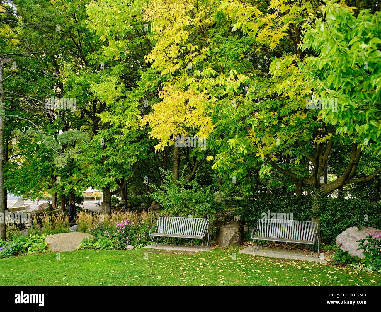 Il Toronto Music Garden, creato in collaborazione con l'eminente violoncellista Yo-Yo ma, è un parco pubblico di tre acri situato sul lungomare di Toronto. Foto Stock