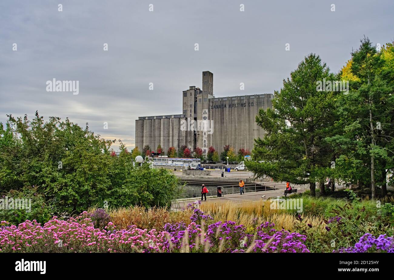 Il Toronto Music Garden, creato in collaborazione con l'eminente violoncellista Yo-Yo ma, è un parco pubblico di tre acri situato sul lungomare di Toronto. Foto Stock