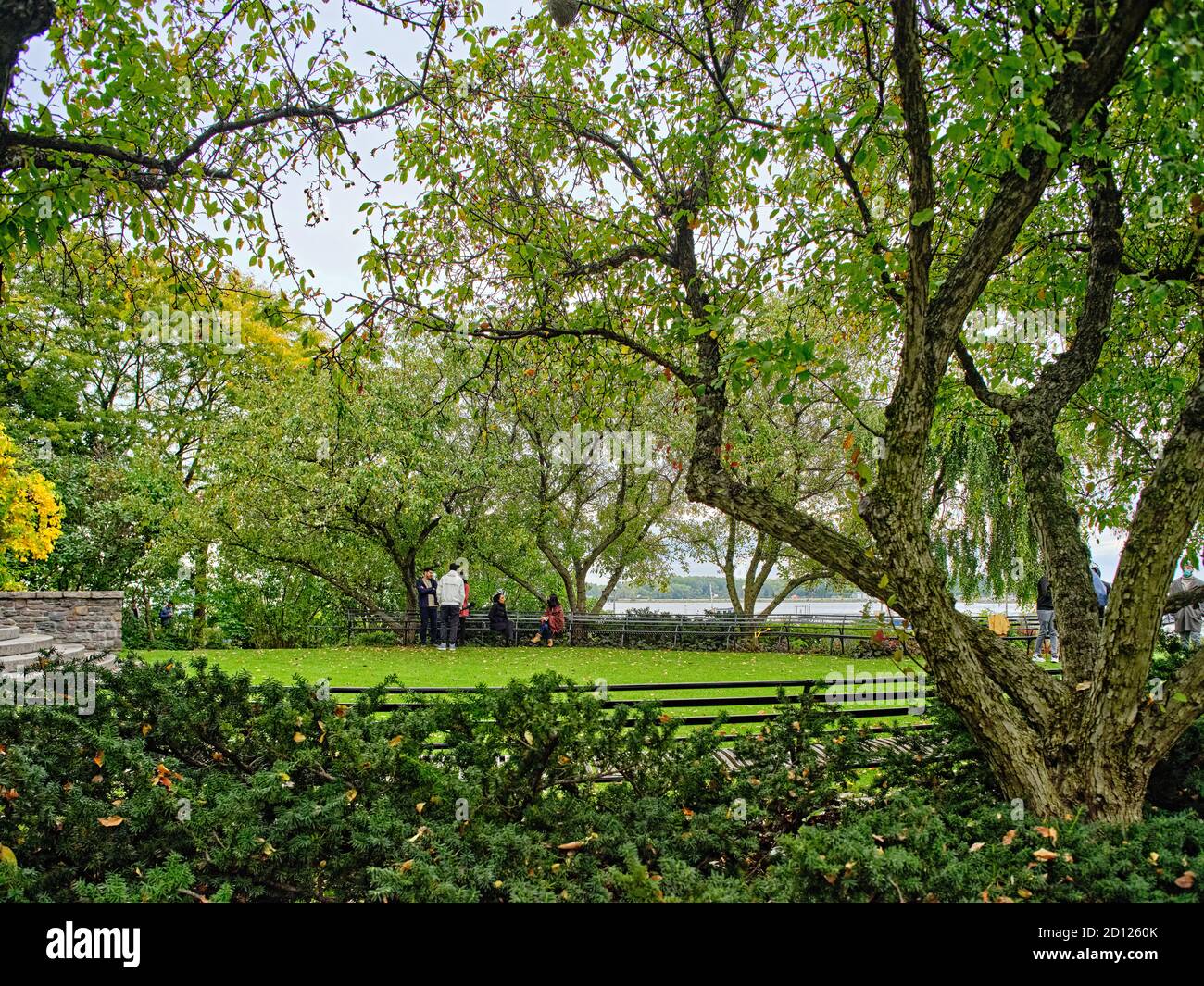 Il Toronto Music Garden, creato in collaborazione con l'eminente violoncellista Yo-Yo ma, è un parco pubblico di tre acri situato sul lungomare di Toronto. Foto Stock