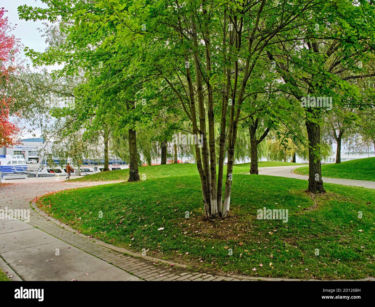 Harbourfront distretto Toronto Foto Stock