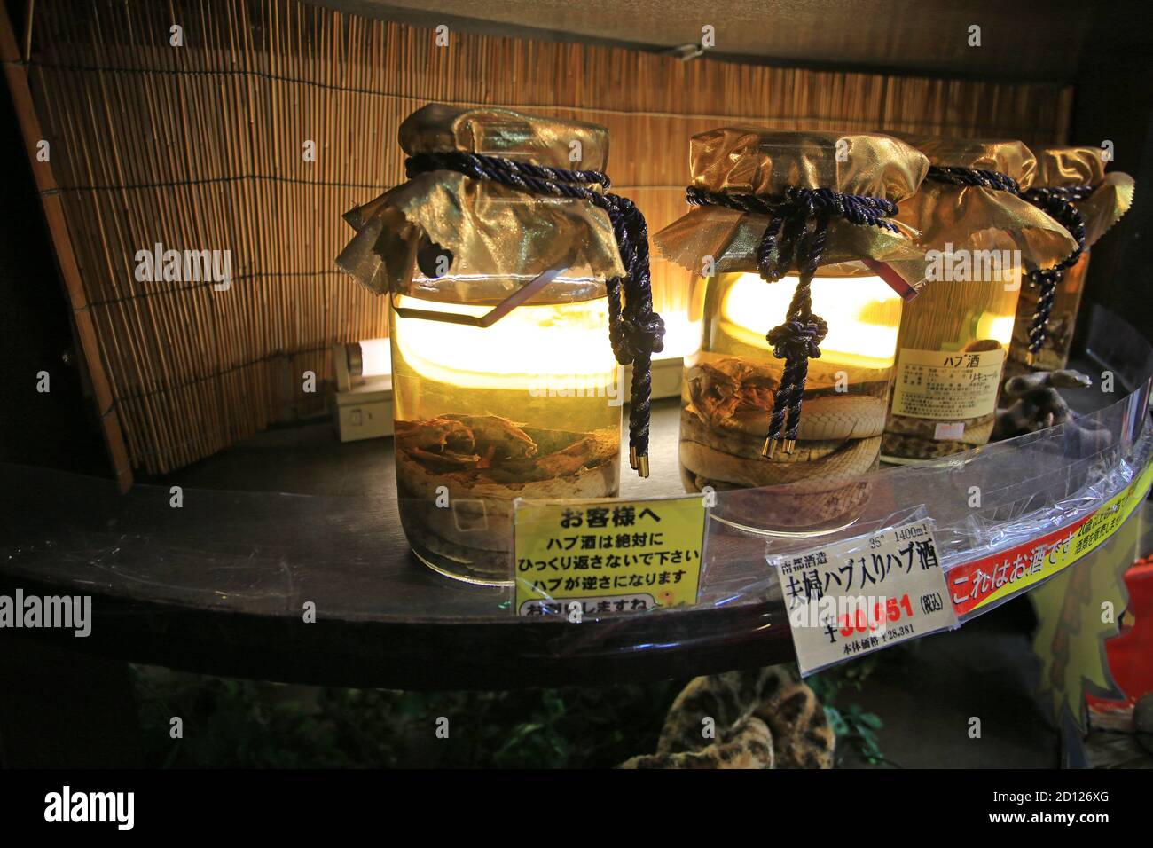 vino serpente bere in giappone okinawa per la vendita Foto Stock