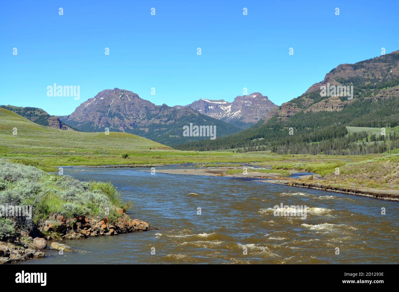 Wyoming - Lamar River Valley a Yellowstone Foto Stock