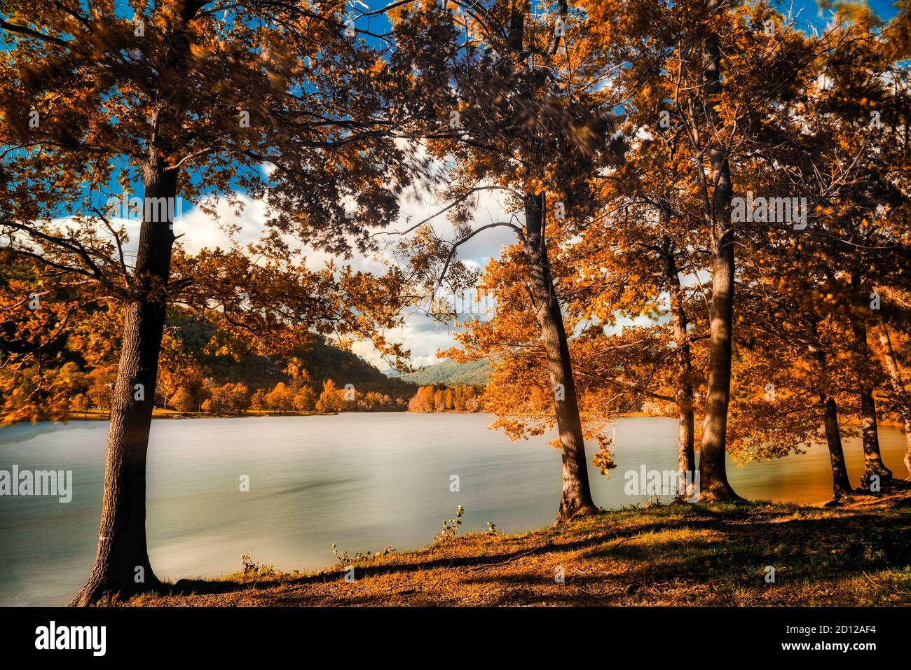 Colori autunnali nel bosco con lago di Ghirla vicino città di Varese, lunga esposizione Foto Stock