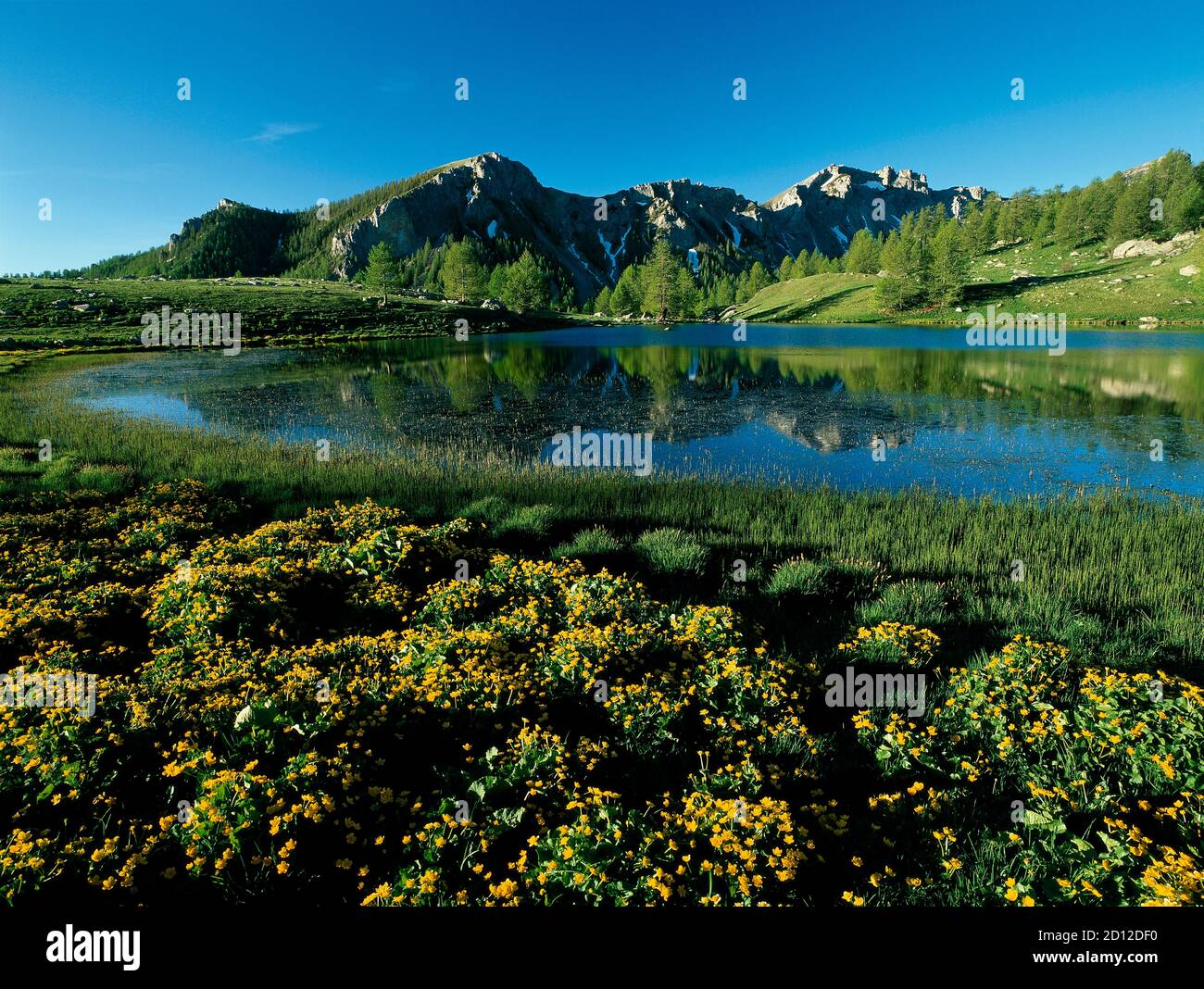 Geografia / viaggio, Francia, Alpi Marittime, Lac de Grenouilles, Parco Nazionale del Mercantour, diritti aggiuntivi-clearance-Info-non-disponibile Foto Stock