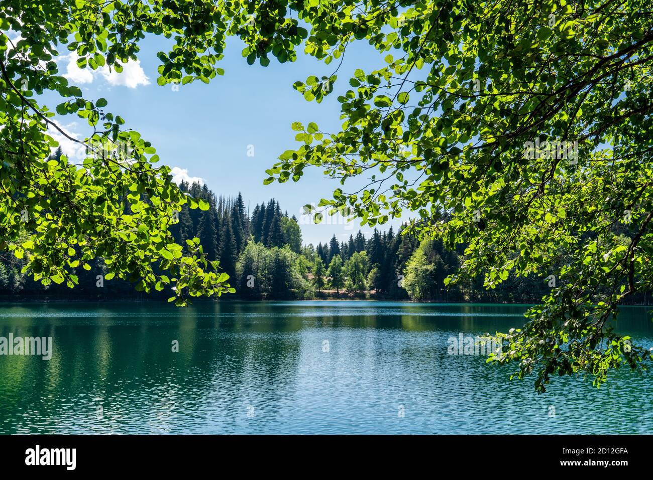 Bella vista di un lago con circondato verde foglie frontground. Natura e Turismo di viaggio concetto. Foto di alta qualità Foto Stock