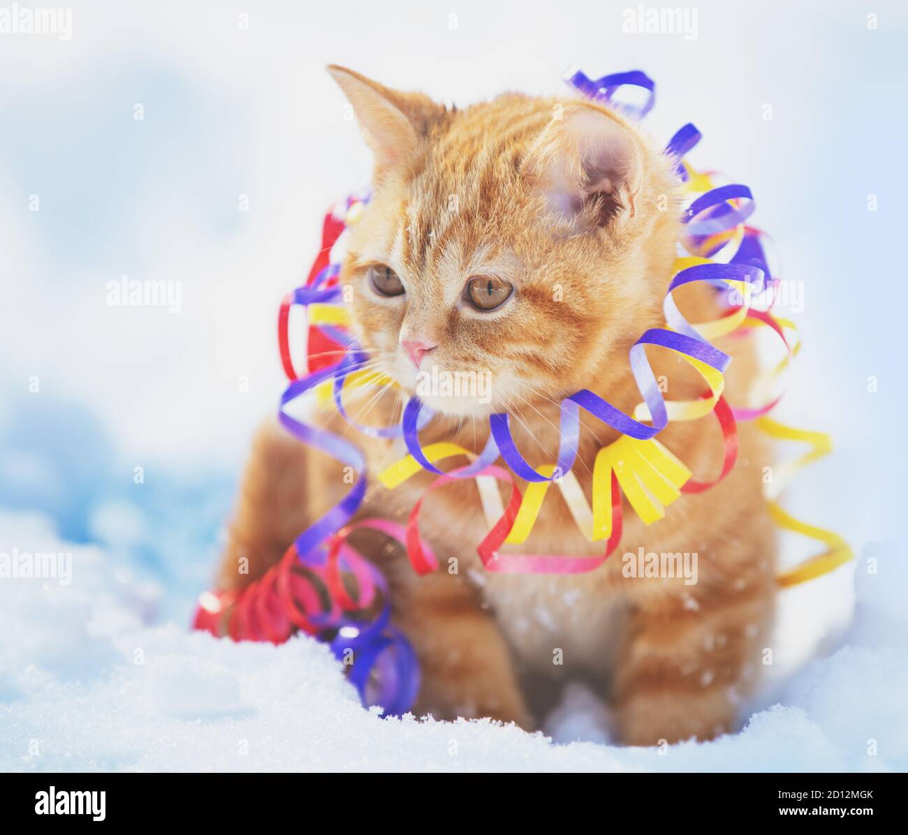 Piccolo gattino rosso avvolto in serpentina, seduto all'aperto sulla neve in inverno Foto Stock