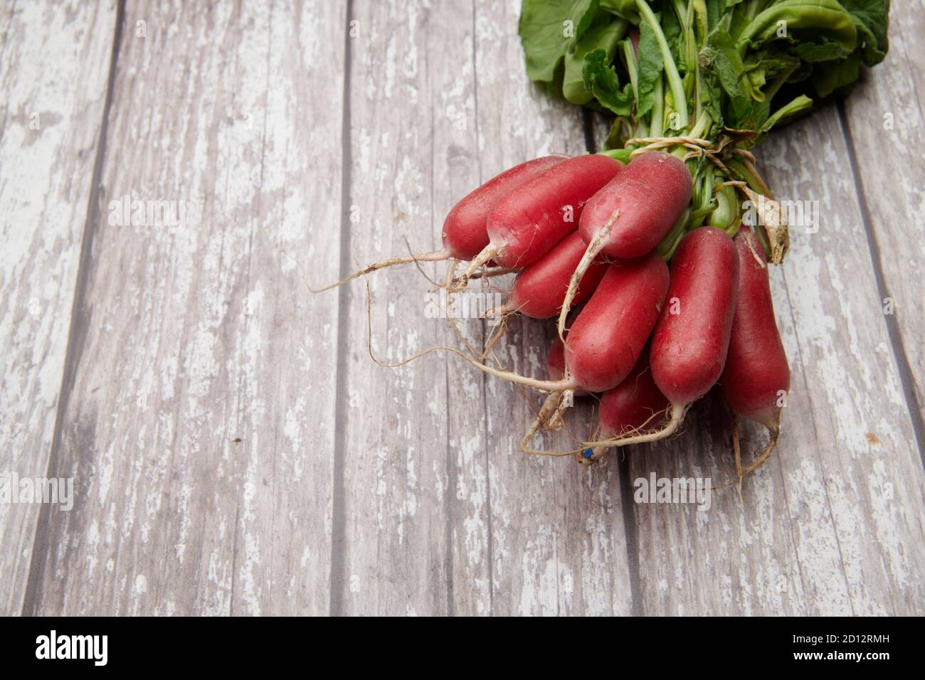 Ravanelli (Raphanus sativus) in un mazzo fresco dal giardino. Su un piano di lavoro di cucina di legno, spazio copia Inghilterra, UK, GB, Foto Stock