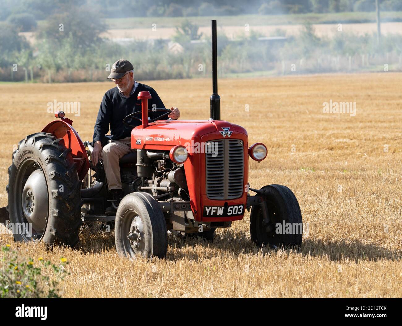 Trattore Massey Ferguson 35 anni '60 con conducente proprietario sul campo Di grano raccolto Cherry Willingham Lincolnshire settembre 2020 Foto Stock