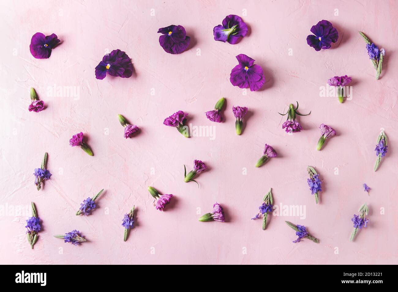 Varietà di viola fiori commestibili per decorare il piatto su rosa pastello. sfondo Vista superiore, spazio. Foto Stock