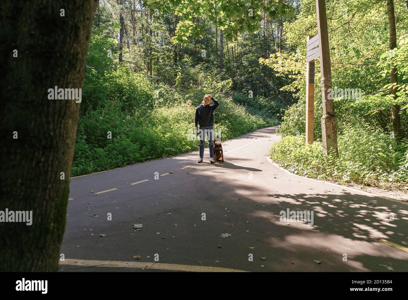 giovane donna cammina con un cane nel parco. fermata ad un bivio. concetto di scelta Foto Stock