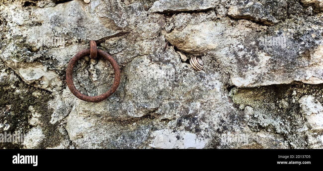 anello di ferro antico e lumaca su muro antico Foto Stock
