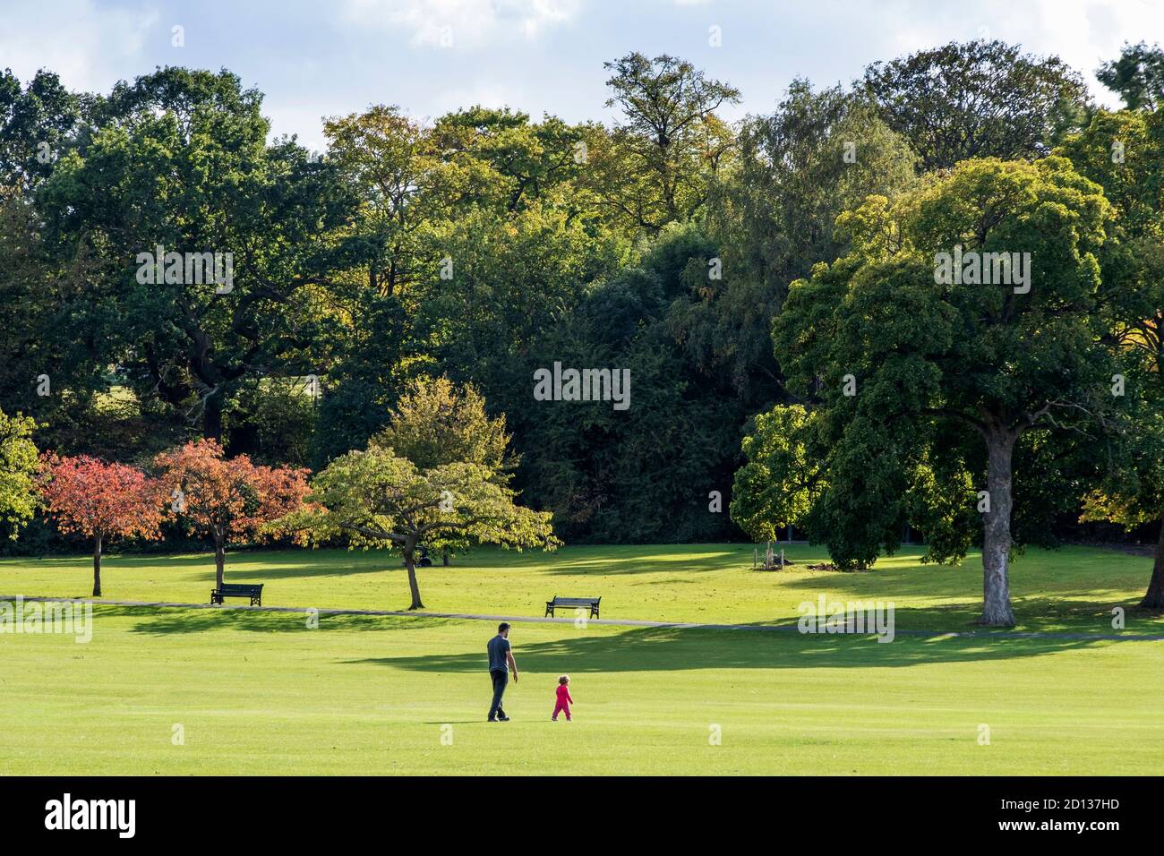 Regno Unito, Londra, Hackney, Clapton, Stamford Hill. Un giovane padre e una figlia che camminano nel verde Springfield Park, fine estate, soleggiato, prati erbosi, tranquillo Foto Stock