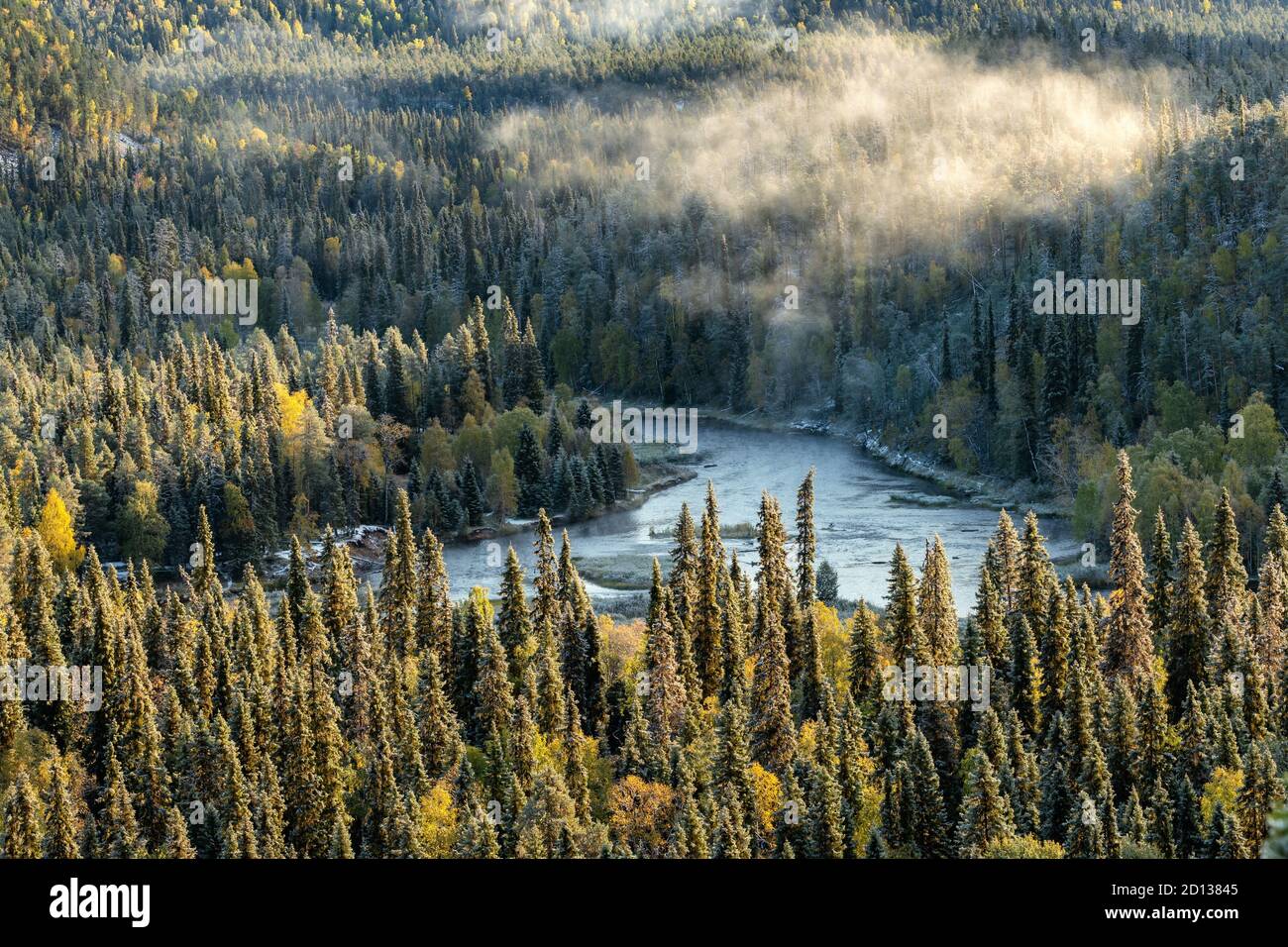 Bellissimo paesaggio mattutino della foresta d'autunno Foto Stock
