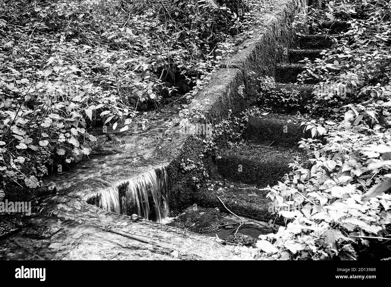 Water trovare la sua strada a Wharram Percy, North Yorkshire, Regno Unito Foto Stock