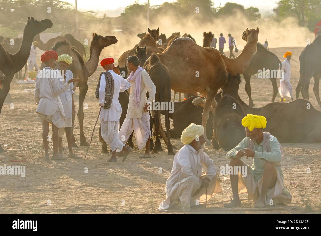 I commercianti di cammello che negoziano il commercio dei loro cammelli di bestiame alla fiera del cammello di Pushkar a Rajasthan, India il 29 ottobre 2017 Foto Stock