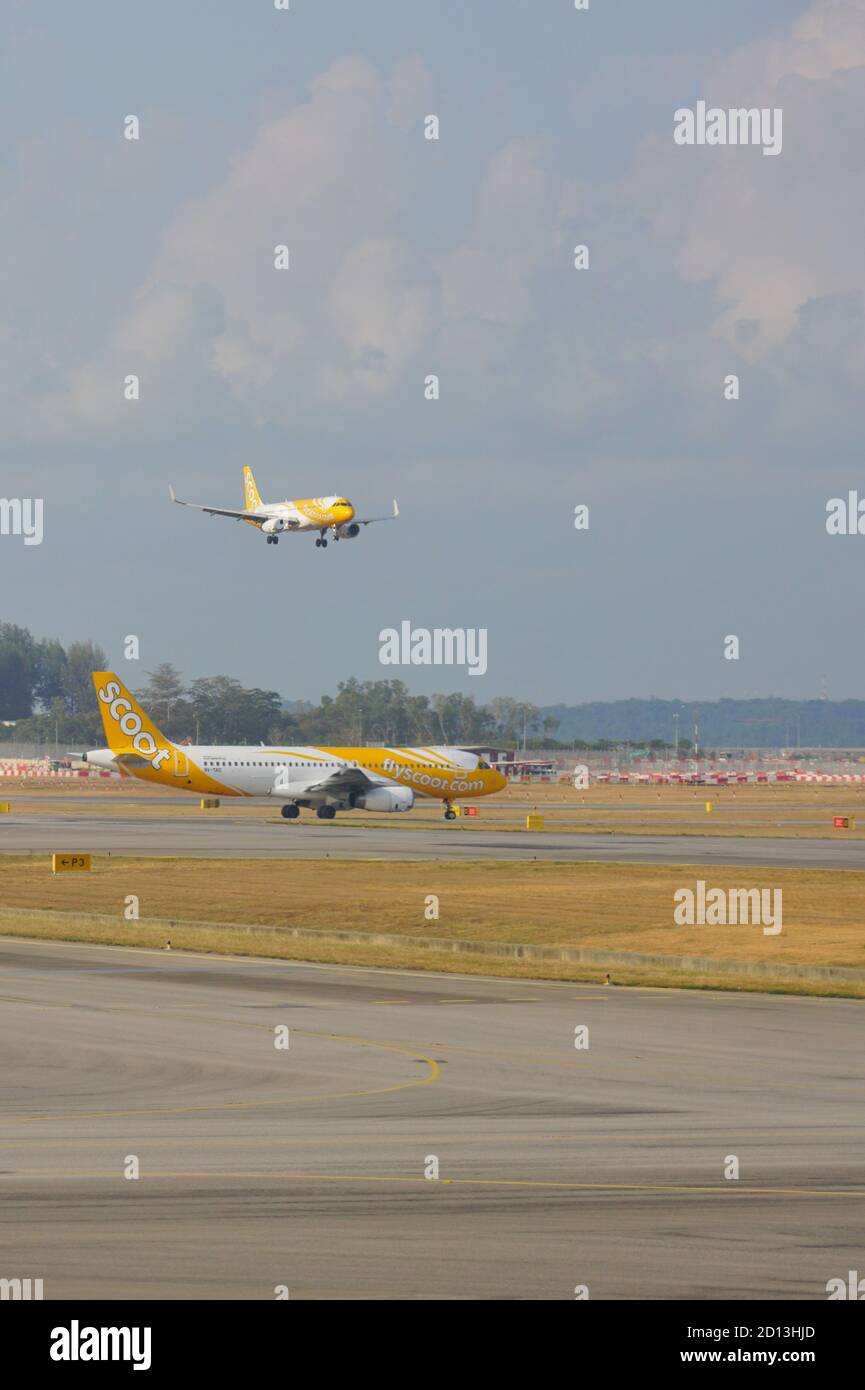 CHANGI, SINGAPORE -22 AGO 2019- un aereo di Scoot (TZ), una compagnia aerea a basso costo a lungo raggio di proprietà di Singapore Airlines, in aereo al Singapore Cha Foto Stock