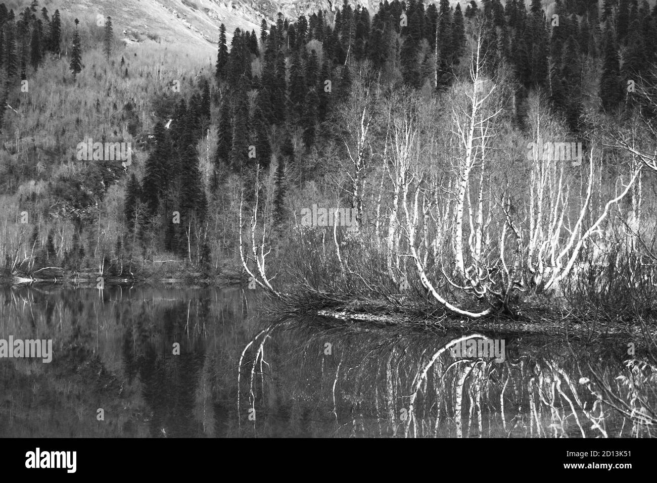 Lago Kardyvach, riserva caucasica, Russia. Foto Stock