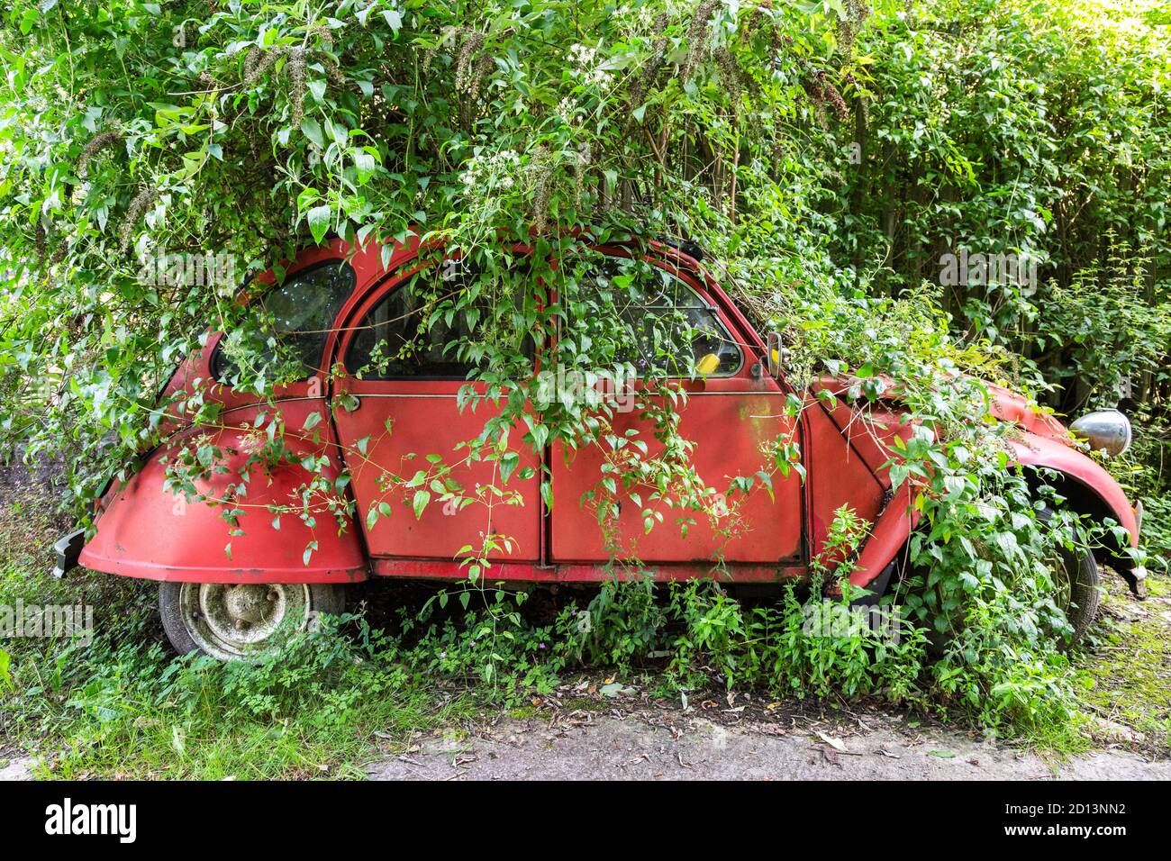 Dismesso e abbandonato 2CV francese automobile tra sottobosco Foto Stock