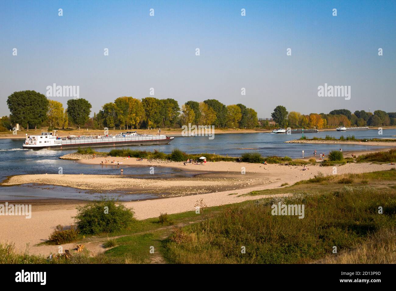 Sulle rive del Reno a Langel, distretto Merkenich, popolare nei giorni estivi, Colonia, Nord Reno-Westfalia, Germania. Am Rheinufer a Langel, S. Foto Stock